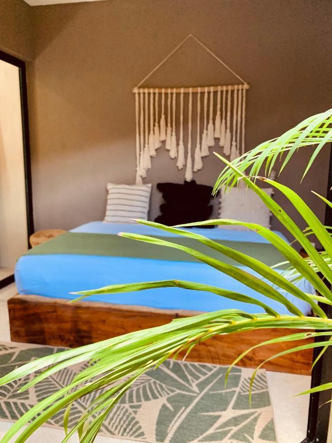 Vida Jungle Apart 1 With Special Fee To Access Hotel Bardo تولوم المظهر الخارجي الصورة
