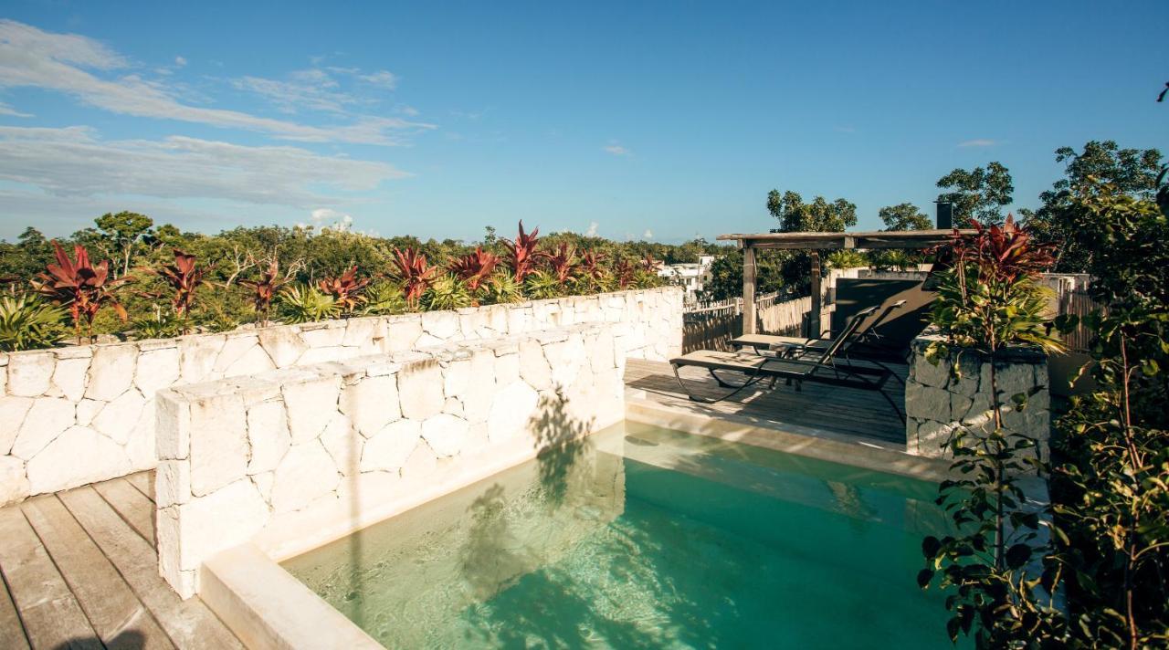 Vida Jungle Apart 1 With Special Fee To Access Hotel Bardo تولوم المظهر الخارجي الصورة