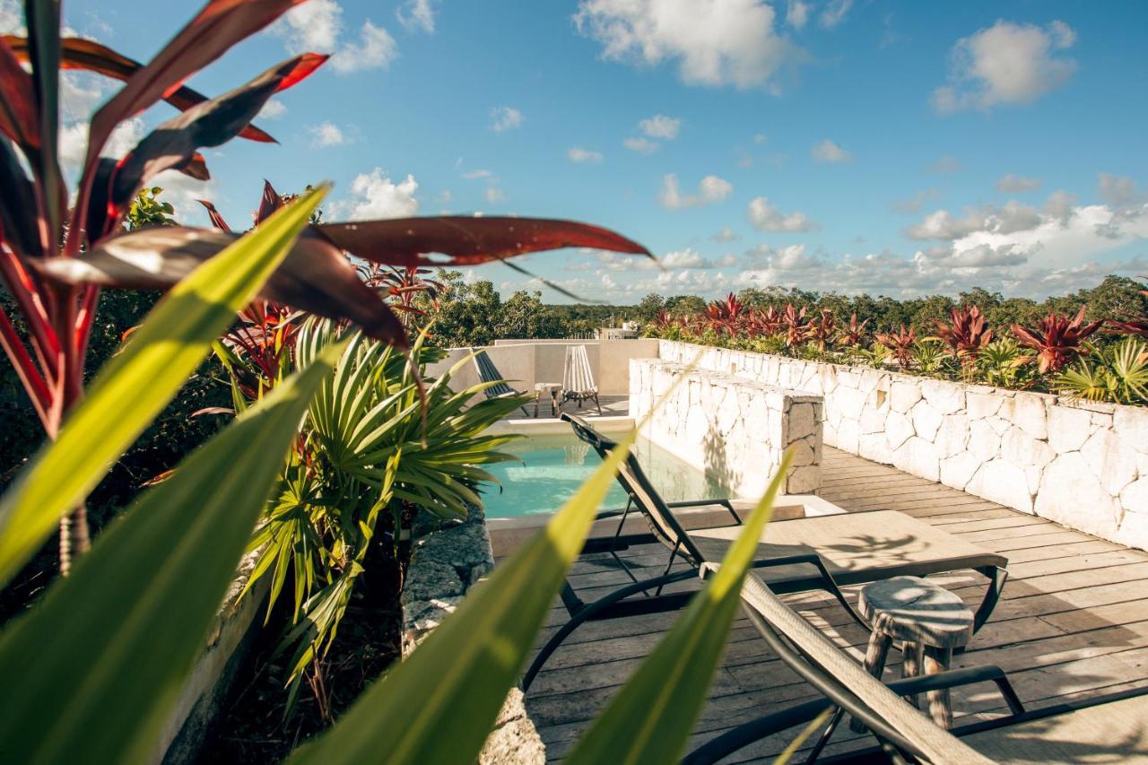 Vida Jungle Apart 1 With Special Fee To Access Hotel Bardo تولوم المظهر الخارجي الصورة